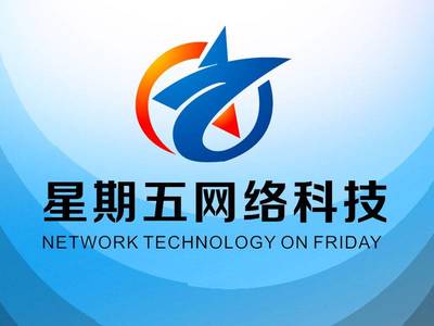 引領(lǐng)未來，共創(chuàng)數(shù)字新紀元——XX網(wǎng)絡科技開發(fā)公司簡介